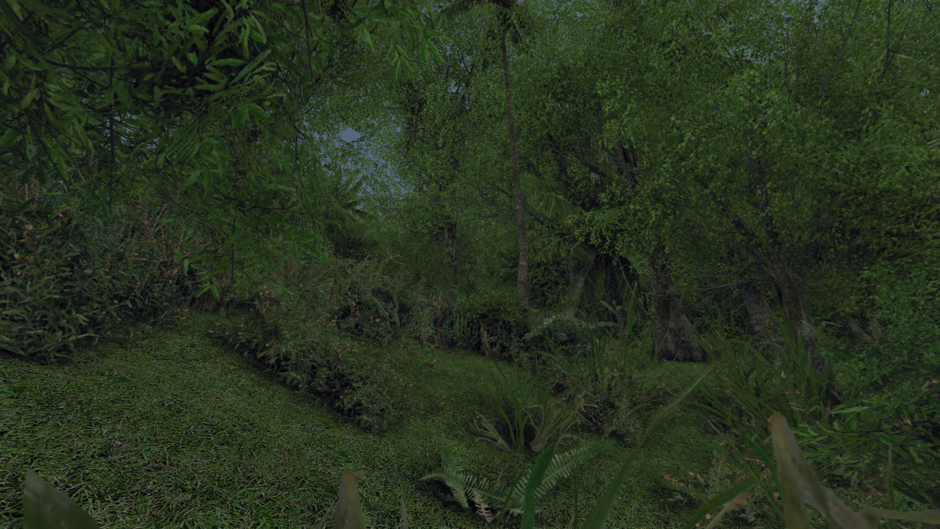 thick_jungle thick_jungle